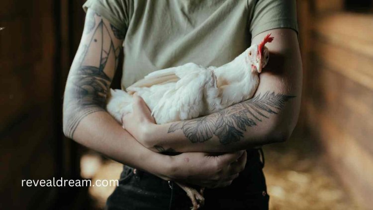 Holding a White Chicken in Hand