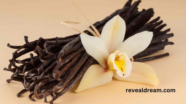 Spiritual Meanings of Vanilla & Symbolism of Vanilla