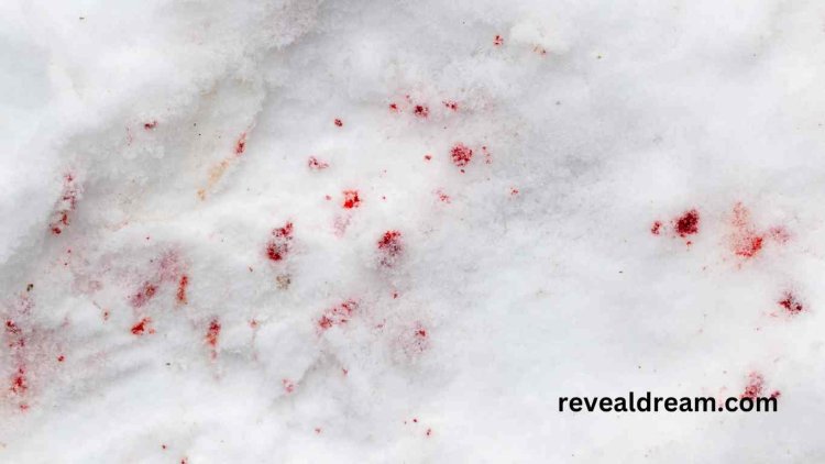 Blood in Snow