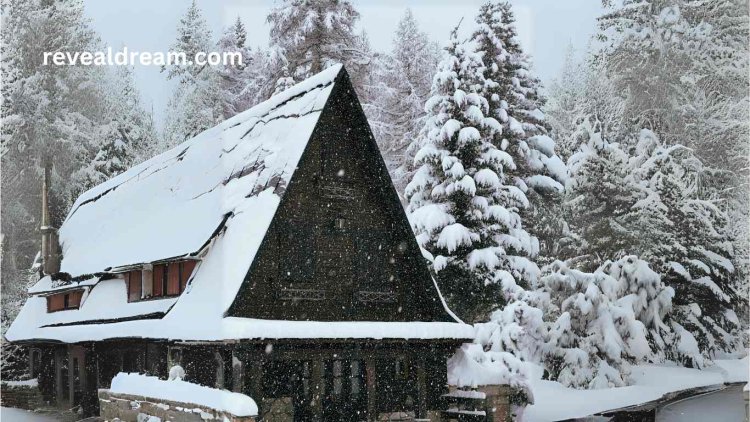 Snow on The Roof