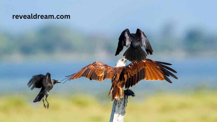 Crow Attack