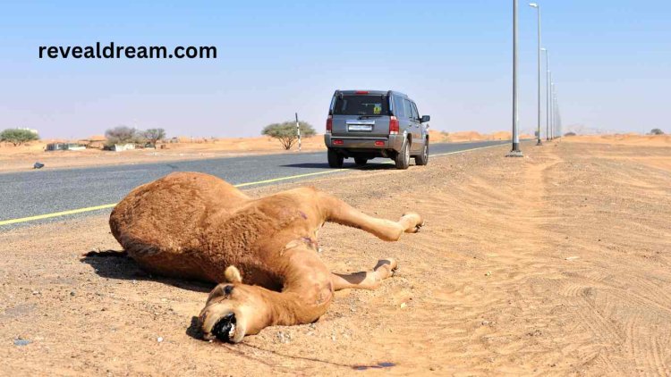 Dead Camel